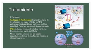 Tratamiento
• 7 Farmacos:
• Analogos de Nucleósidos: Supresión potente de
la replicación por efecto inhibidor en ADN
polimerasa, biodisponibilidad oral, buen perfil de
seguridad. Pacientes con cirrosis descompensada.
• IFN-a: Actividad inmunoestimuladora y antiviral.
Disminución mas rapida de HBsAg.
• Menos potentes y menor uso por efectos
secundarios: deterioro de insuficiencia hepática e
infecciones graves.
 