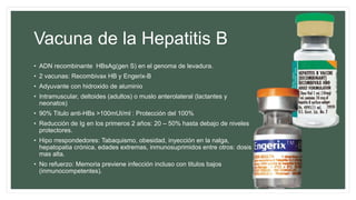 Vacuna de la Hepatitis B
• ADN recombinante HBsAg(gen S) en el genoma de levadura.
• 2 vacunas: Recombivax HB y Engerix-B
• Adyuvante con hidroxido de aluminio
• Intramuscular, deltoides (adultos) o muslo anterolateral (lactantes y
neonatos)
• 90% Titulo anti-HBs >100mUI/ml : Protección del 100%
• Reducción de Ig en los primeros 2 años: 20 – 50% hasta debajo de niveles
protectores.
• Hipo rrespondedores: Tabaquismo, obesidad, inyección en la nalga,
hepatopatia crónica, edades extremas, inmunosuprimidos entre otros: dosis
mas alta.
• No refuerzo: Memoria previene infección incluso con titulos bajos
(inmunocompetentes).
 