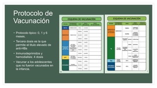 Protocolo de
Vacunación
• Protocolo tipico: 0, 1 y 6
meses.
• Tercera dosis es la que
permite el titulo elevado de
anti-HBs
• Inmunodeprimidos y
hemodialisis: 4 dosis
• Vacunar a los adolescentes
que no fueron vacunados en
la infancia.
 