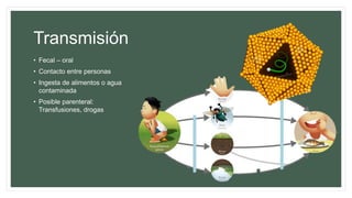 Transmisión
• Fecal – oral
• Contacto entre personas
• Ingesta de alimentos o agua
contaminada
• Posible parenteral:
Transfusiones, drogas
 