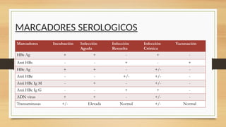 MARCADORES SEROLOGICOS
Marcadores Incubación Infección
Aguda
Infección
Resuelta
Infección
Crónica
Vacunación
HBs Ag + + - + -
Anti HBs - - + - +
HBe Ag + + - +/- -
Anti HBe - - +/- +/- -
Anti HBc Ig M - + - +/- -
Anti HBc Ig G - - + + -
ADN virus + + - +/- -
Transaminasas +/- Elevada Normal +/- Normal
 