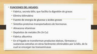• FUNCIONES DEL HIGADO:
• Fabrica, secreta bilis; que facilita la digestión de grasas
• Elimina bilirrubina
• Fuente de energía de glucosa y ácidos grasos
• Sintetiza proteínas transportadores de hormonas
• Almacena vitaminas
• Depósitos de metales (Fe Zn Cu)
• Fabrica albumina
• En el hígado se transforman productos tóxicos, fármacos y
sustancias extrañas en otras fácilmente eliminables por la bilis, de lo
cual se encargan las transaminasas
 