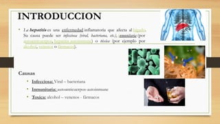 INTRODUCCION
• La hepatitis es una enfermedad inflamatoria que afecta al hígado.
Su causa puede ser infecciosa (viral, bacteriana, etc.), inmunitaria (por
autoanticuerpos, hepatitis autoinmune) o tóxica (por ejemplo por
alcohol, venenos o fármacos).
Causas
• Infecciosa: Viral – bacteriana
• Inmunitaria: autoanticuerpos-autoinmune
• Toxica: alcohol – venenos - fármacos
 