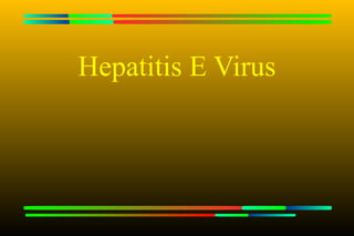 Hepatitis E Virus
 