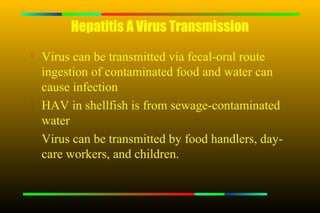 Hepatitis A Virus Transmission

    Virus can be transmitted via fecal-oral route
    ingestion of contaminated food and water can
    cause infection

    HAV in shellfish is from sewage-contaminated
    water

    Virus can be transmitted by food handlers, day-
    care workers, and children.
 