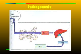 Pathogenesis
 
