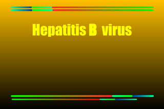 Hepatitis B virus
 