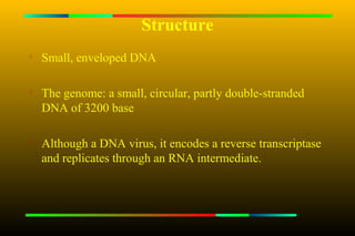 Structure
   Small, enveloped DNA

   The genome: a small, circular, partly double-stranded
    DNA of 3200 base


    Although a DNA virus, it encodes a reverse transcriptase
    and replicates through an RNA intermediate.
 