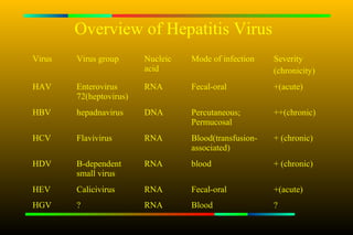 Overview of Hepatitis Virus
Virus   Virus group      Nucleic   Mode of infection    Severity
                         acid                           (chronicity)
HAV     Enterovirus      RNA       Fecal-oral           +(acute)
        72(heptovirus)
HBV     hepadnavirus     DNA       Percutaneous;        ++(chronic)
                                   Permucosal
HCV     Flavivirus       RNA       Blood(transfusion-   + (chronic)
                                   associated)
HDV     B-dependent      RNA       blood                + (chronic)
        small virus
HEV     Calicivirus      RNA       Fecal-oral           +(acute)
HGV     ?                RNA       Blood                ?
 