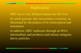 Replication

    HBV has a very defined tropism for the liver.
   Its small genome also necessitates economy, as
    illustrated by the pattern of its transcription and
    translation.

    In addition, HBV replicates through an RNA
    intermediate and produces and release antigenic
    decoy particles.
 