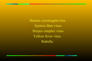 
      Human cytomegalovirus
      
         Epstein-Barr virus
       Herpes simplex virus
       Yellow fever virus

           
             Rubella.
 