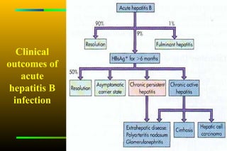 Clinical
outcomes of
   acute
hepatitis B
 infection
 