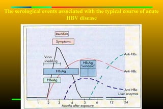 The serological events associated with the typical course of acute
                          HBV disease
 