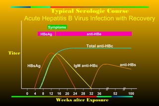 Typical Serologic Course
        Acute Hepatitis B Virus Infection with Recovery
                     Symptoms
                HBeAg                         anti-HBe


                                              Total anti-HBc
Titer

         HBsAg                      IgM anti-HBc                    anti-HBs




        0   4    8   12   16   20   24   28    32   36         52       100
                          Weeks after Exposure
 
