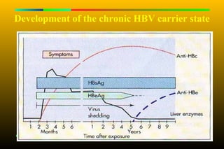 Development of the chronic HBV carrier state
 