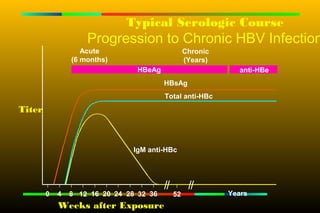 Typical Serologic Course
                    Progression to Chronic HBV Infection
                   Acute                        Chronic
                (6 months)                      (Years)
                                 HBeAg                       anti-HBe
                                         HBsAg
                                         Total anti-HBc
Titer



                                IgM anti-HBc




        0   4   8 12 16 20 24 28 32 36     52             Years
            Weeks after Exposure
 