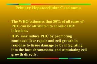 Primary Hepatocellular Carcinoma


    The WHO estimates that 80% of all cases of
    PHC can be attributed to chronic HBV
    infections.
   HBV may induce PHC by promoting
    continued liver repair and cell growth in
    response to tissue damage or by integrating
    into the host chromosome and stimulating cell
    growth directly.
 