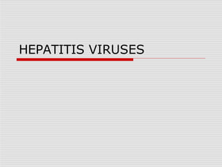 HEPATITIS VIRUSES
 