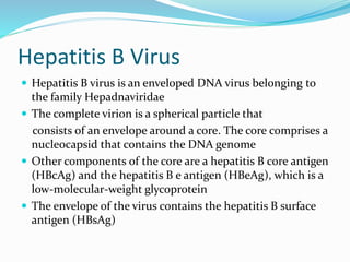Hepatitis B Virus
 Hepatitis B virus is an enveloped DNA virus belonging to
the family Hepadnaviridae
 The complete virion is a spherical particle that
consists of an envelope around a core. The core comprises a
nucleocapsid that contains the DNA genome
 Other components of the core are a hepatitis B core antigen
(HBcAg) and the hepatitis B e antigen (HBeAg), which is a
low-molecular-weight glycoprotein
 The envelope of the virus contains the hepatitis B surface
antigen (HBsAg)
 