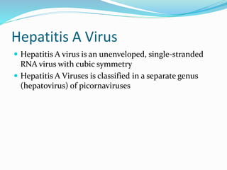 Hepatitis A Virus
 Hepatitis A virus is an unenveloped, single-stranded
RNA virus with cubic symmetry
 Hepatitis A Viruses is classified in a separate genus
(hepatovirus) of picornaviruses
 