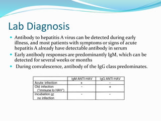 Lab Diagnosis
 Antibody to hepatitis A virus can be detected during early
illness, and most patients with symptoms or signs of acute
hepatitis A already have detectable antibody in serum
 Early antibody responses are predominantly IgM, which can be
detected for several weeks or months
 During convalescence, antibody of the IgG class predominates.
 