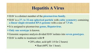 Hepatitis A Virus
 HAV is a distinct member of the picornavirus family.
 HAV is a 27- to 32-nm spherical particle with cubic symmetry containing
a linear single-stranded RNA genome with a size of 7.5 kb.
 It is assigned to picornavirus genus, Hepatovirus.
 Only one serotype is known.
 Genomic sequence analysis divided HAV isolates into seven genotypes.
 HAV is stable to treatment with
 20% ether, acid (pH 1.0 for 2 hours)
 Heat (600C for 1 hour).
 