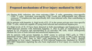 Proposed mechanisms of liver injury mediated by HAV.
(A) During HAV infection, the virus activates CD8+ T cells, generating virus-specific
CD8+ T cells. Activated virus-specific CD8 T-cells are differentiated into effector
cytotoxic T lymphocytes that specifically kill virus-infected cells, thus contributing to
liver injury.
(B) In patients with hepatitis A, high levels of IL-15 in the serum activate non-virus-specific
CD8+ T cells, which are capable of lysing both infected and uninfected hepatocytes.
(C) High levels of IL-18 have been detected in both macrophages and hepatocytes in IL-
18BP-deficient patients with fulminant hepatitis A. Due to lack of neutralizing activity
against IL-18, excessive and uncontrolled IL-18 activates NK cells, which subsequently
mediate the lysis of both infected and uninfected hepatocytes.
(D) In patients with severe hepatitis A, HAV seems to activate NKT cells in TIM-1
dependent manner. HAV-infected cells had higher cytotoxic activity in NKT cells carrying
longer form of TIM-1 than in NKT cells harboring the wild type TIM-1, thereby
contributing to liver injury. Apoptosis of HAV-infected hepatocytes mediated by MAVS-
IRF3/IRF7-dependent signaling has also been implicated in liver injury in a murine model
of HAV.
 