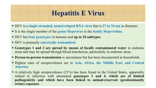 Hepatitis E Virus
 HEV is a single-stranded, nonenveloped RNA virus that is 27 to 34 nm in diameter.
 It is the single member of the genus Hepevirus in the family Hepeviridae.
 HEV has four genotypes in humans and up to 24 subtypes.
 HEV is primarily enterically transmitted.
 Genotypes 1 and 2 are spread by means of fecally contaminated water in endemic
areas and may be spread through blood transfusion, particularly in endemic areas.
 Person-to-person transmission is uncommon but has been documented in households.
 Highest rates of seroprevalence are in Asia, Africa, the Middle East, and Central
America.
 A relatively high seroprevalence (21%) has been found in the United States, apparently
related to infection with attenuated genotypes 3 and 4, which are of limited
pathogenicity and which have been linked to animal-reservoir (predominantly
swine) exposure.
 