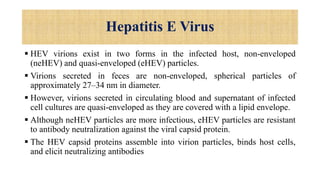 Hepatitis E Virus
 HEV virions exist in two forms in the infected host, non-enveloped
(neHEV) and quasi-enveloped (eHEV) particles.
 Virions secreted in feces are non-enveloped, spherical particles of
approximately 27–34 nm in diameter.
 However, virions secreted in circulating blood and supernatant of infected
cell cultures are quasi-enveloped as they are covered with a lipid envelope.
 Although neHEV particles are more infectious, eHEV particles are resistant
to antibody neutralization against the viral capsid protein.
 The HEV capsid proteins assemble into virion particles, binds host cells,
and elicit neutralizing antibodies
 