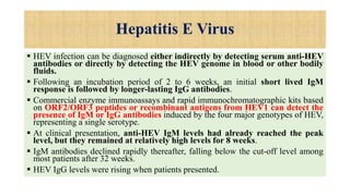 Hepatitis E Virus
 HEV infection can be diagnosed either indirectly by detecting serum anti-HEV
antibodies or directly by detecting the HEV genome in blood or other bodily
fluids.
 Following an incubation period of 2 to 6 weeks, an initial short lived IgM
response is followed by longer-lasting IgG antibodies.
 Commercial enzyme immunoassays and rapid immunochromatographic kits based
on ORF2/ORF3 peptides or recombinant antigens from HEV1 can detect the
presence of IgM or IgG antibodies induced by the four major genotypes of HEV,
representing a single serotype.
 At clinical presentation, anti-HEV IgM levels had already reached the peak
level, but they remained at relatively high levels for 8 weeks.
 IgM antibodies declined rapidly thereafter, falling below the cut-off level among
most patients after 32 weeks.
 HEV IgG levels were rising when patients presented.
 