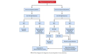 Hepatitis viruses a &amp; e