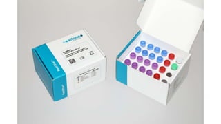 Hepatitis viruses a &amp; e