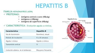 hepatitis analitica embarazo