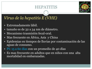 Virus de la hepatitis C (VHC).50-60 nm de diámetro, Envoltura lipídica y con un genoma RNA unihelicoidalLlamada también Hepatitis no-A, no-B  Trasmisión parenteral. Se relaciona con el carcinoma hepatocelular. Cronicidad 50%.En la mujer gestante afectada que presente títulos altos puede transmitir la infección al hijo.HEPATITIS