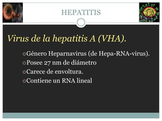 Virus de la hepatitis B (VHB).