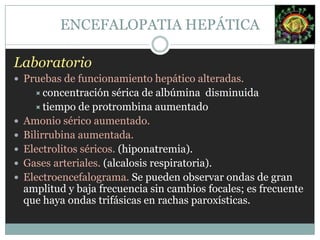 La eficacia de los sistemas hepáticos responsables de la biotransformación. HEPATITIS