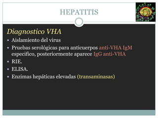 Virus de la hepatitis E (VHE).