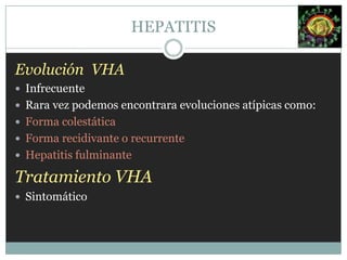 Virus de la hepatitis F (VHF).