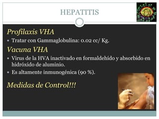 Virus de la hepatitis G (VHG).
