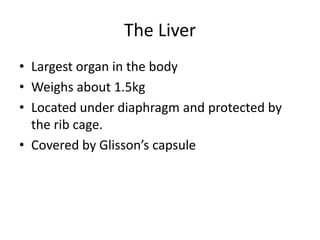 The Liver
• Largest organ in the body
• Weighs about 1.5kg
• Located under diaphragm and protected by
the rib cage.
• Covered by Glisson’s capsule
 