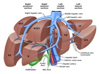 Picture for Segments
 