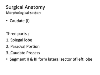 Surgical Anatomy
Morphological-sectors
• Caudate (I)
Three parts ;
1. Spiegal lobe
2. Paracval Portion
3. Caudate Process
• Segment II & III form lateral sector of left lobe
 