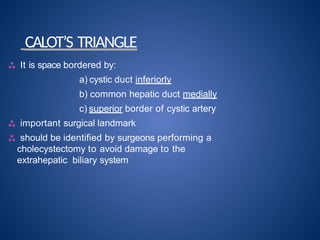 Callot Triangle Border HEPATO BILIARY PANCREATIC DISEASE .pptx