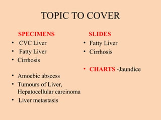 TOPIC TO COVER
SPECIMENS
• CVC Liver
• Fatty Liver
• Cirrhosis
• Amoebic abscess
• Tumours of Liver,
Hepatocellular carcinoma
• Liver metastasis
SLIDES
• Fatty Liver
• Cirrhosis
• CHARTS -Jaundice
 