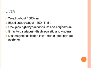 LIVER
 Weight about 1500 gm
 Blood supply about 1500ml/min
 Occupies right hypochondrium and epigastrium
 It has two surfaces- diaphragmatic and visceral
 Diaphragmatic divided into anterior, superior and
posterior
 