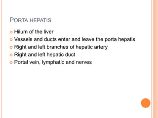 PORTA HEPATIS
 Hilum of the liver
 Vessels and ducts enter and leave the porta hepatis
 Right and left branches of hepatic artery
 Right and left hepatic duct
 Portal vein, lymphatic and nerves
 