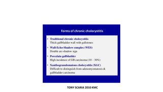 TONY SCARIA 2010 KMC
 