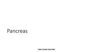 Pancreas
TONY SCARIA 2010 KMC
 
