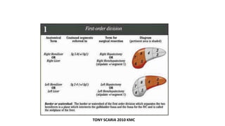 TONY SCARIA 2010 KMC
 