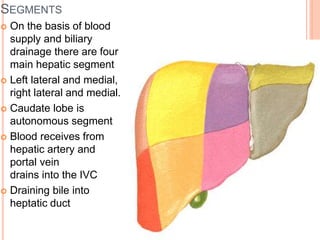 hepatobiliary system 2024.pptx hepatobiliary system | PPTX